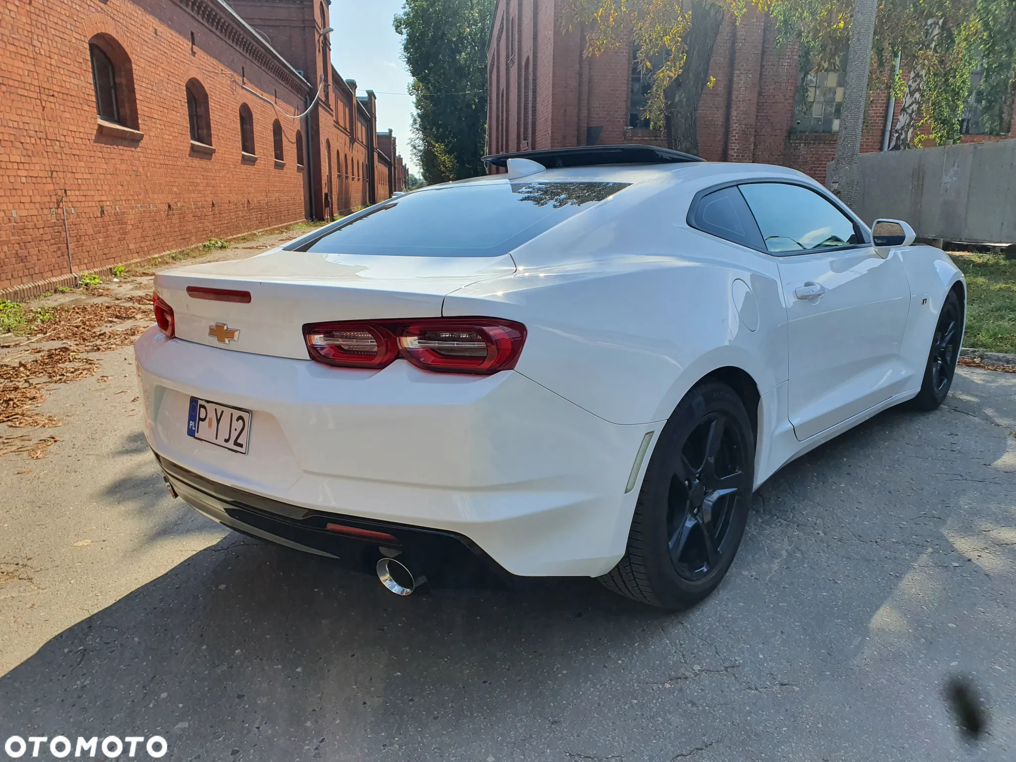 Chevrolet Camaro - 3