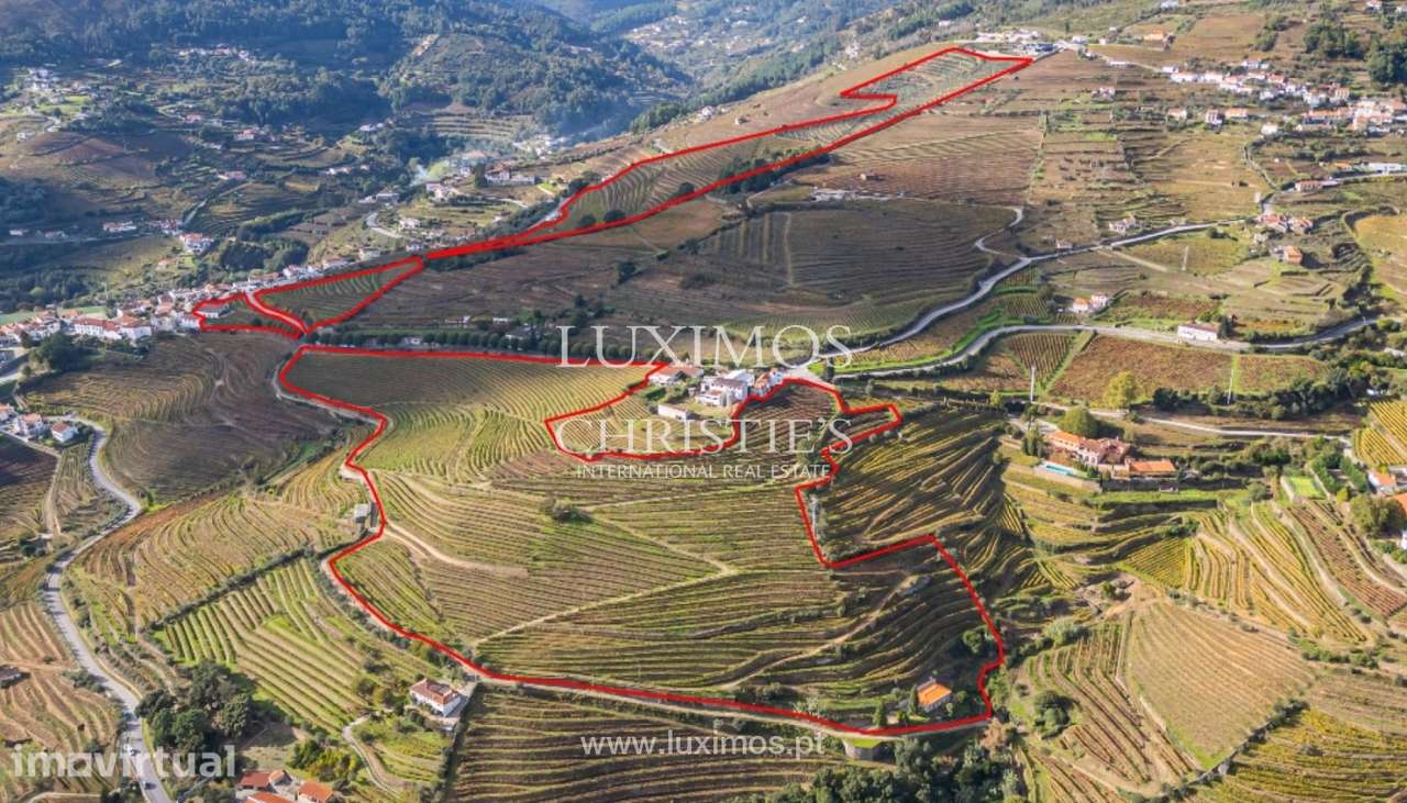 Quinta vinícola à venda em Mesão Frio na Região Demarcada, Douro V - Grande imagem: 3/25