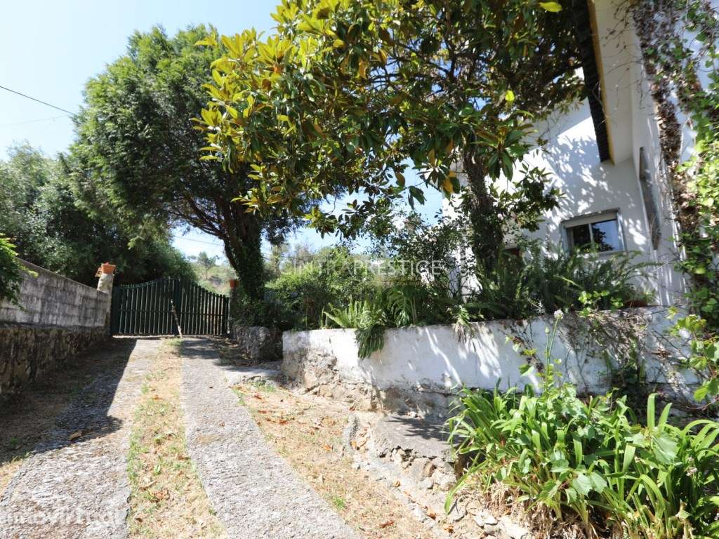 Lourel- Sintra Moradia Isolada T3 com lote de terreno urbano 3900m2. - Grande imagem: 5/42