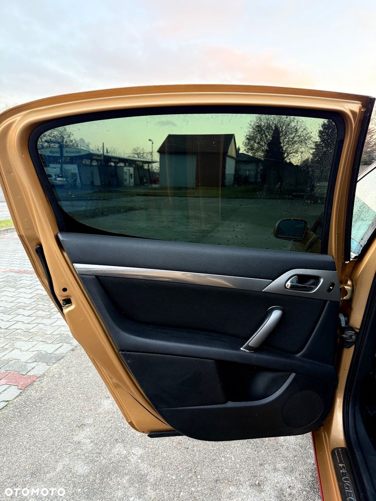 Peugeot 407 - 14