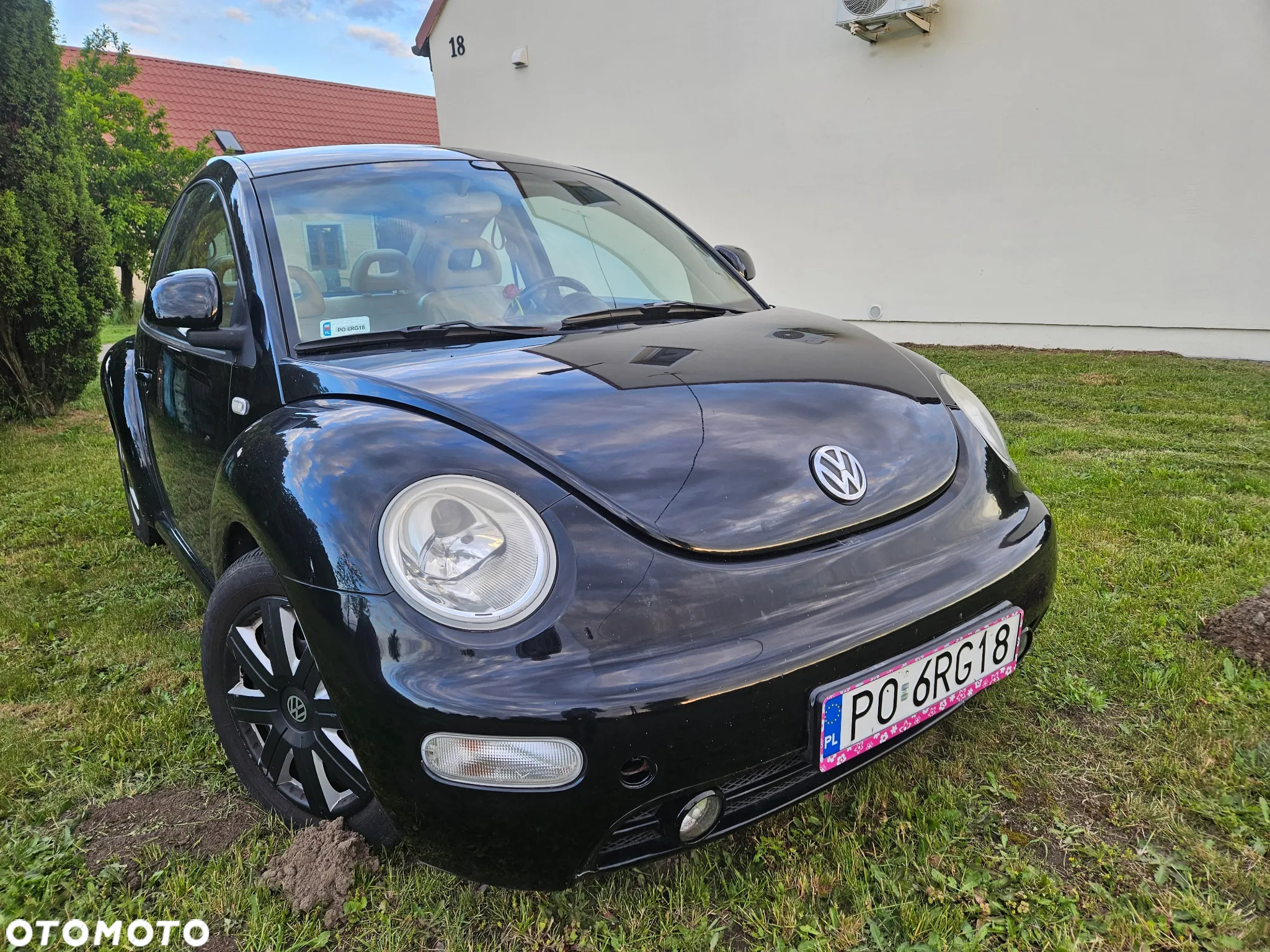 Volkswagen New Beetle 1.9 TDI - 2