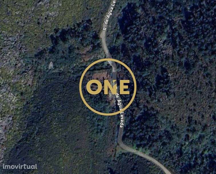 Terreno com Oliveiras no Cerquido – Junto ao Monte de Santa Justa - Grande imagem: 2/3