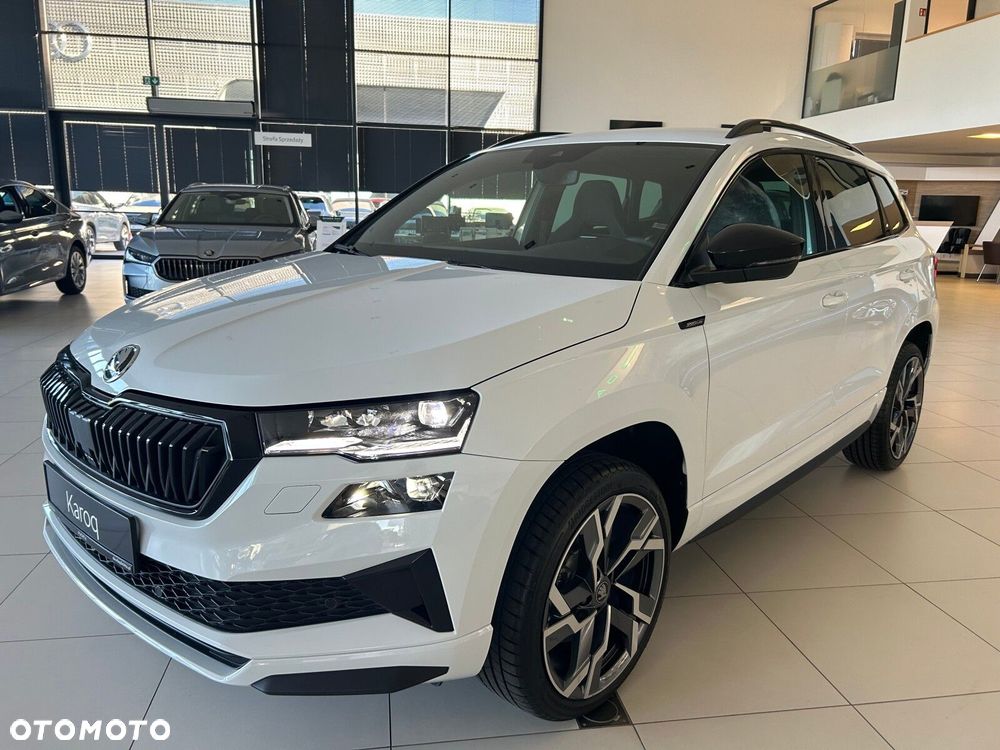 Skoda Karoq - 10