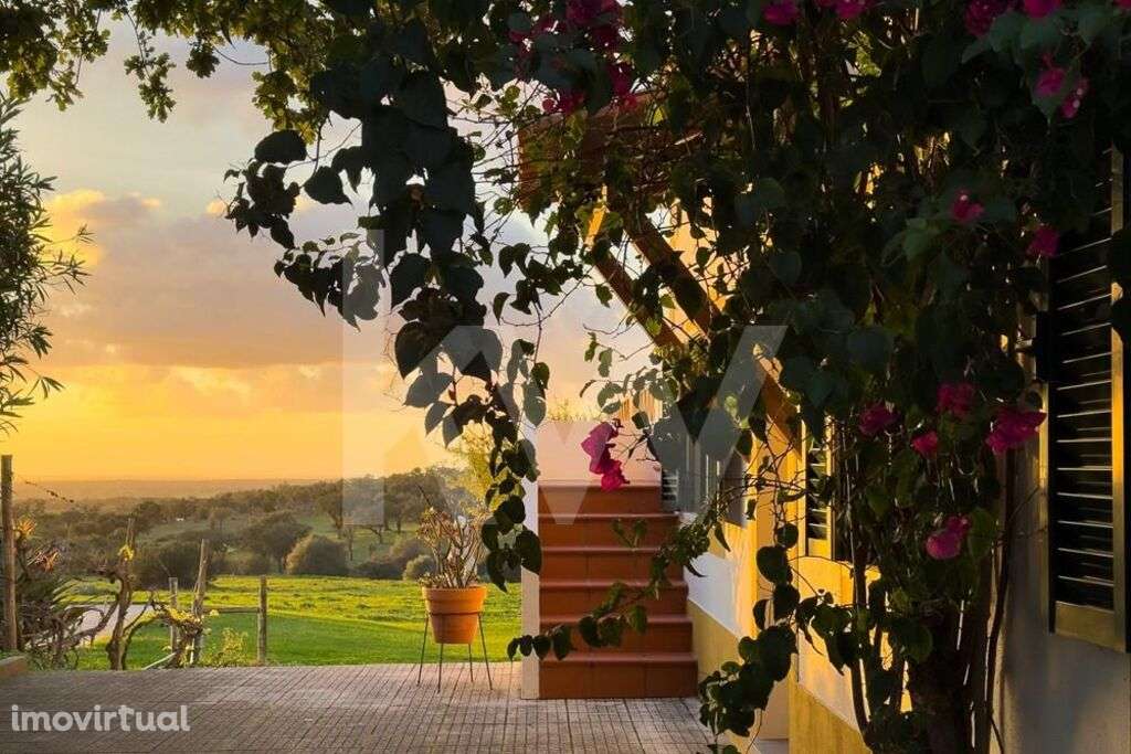 Quinta Alentejana | Oportunidade de Sonho | Exploração Turística ou Ca - Grande imagem: 4/59