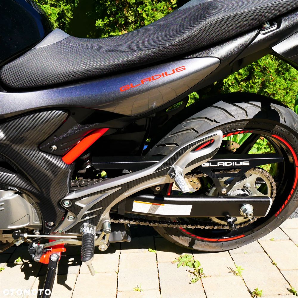 Suzuki Gladius - 11