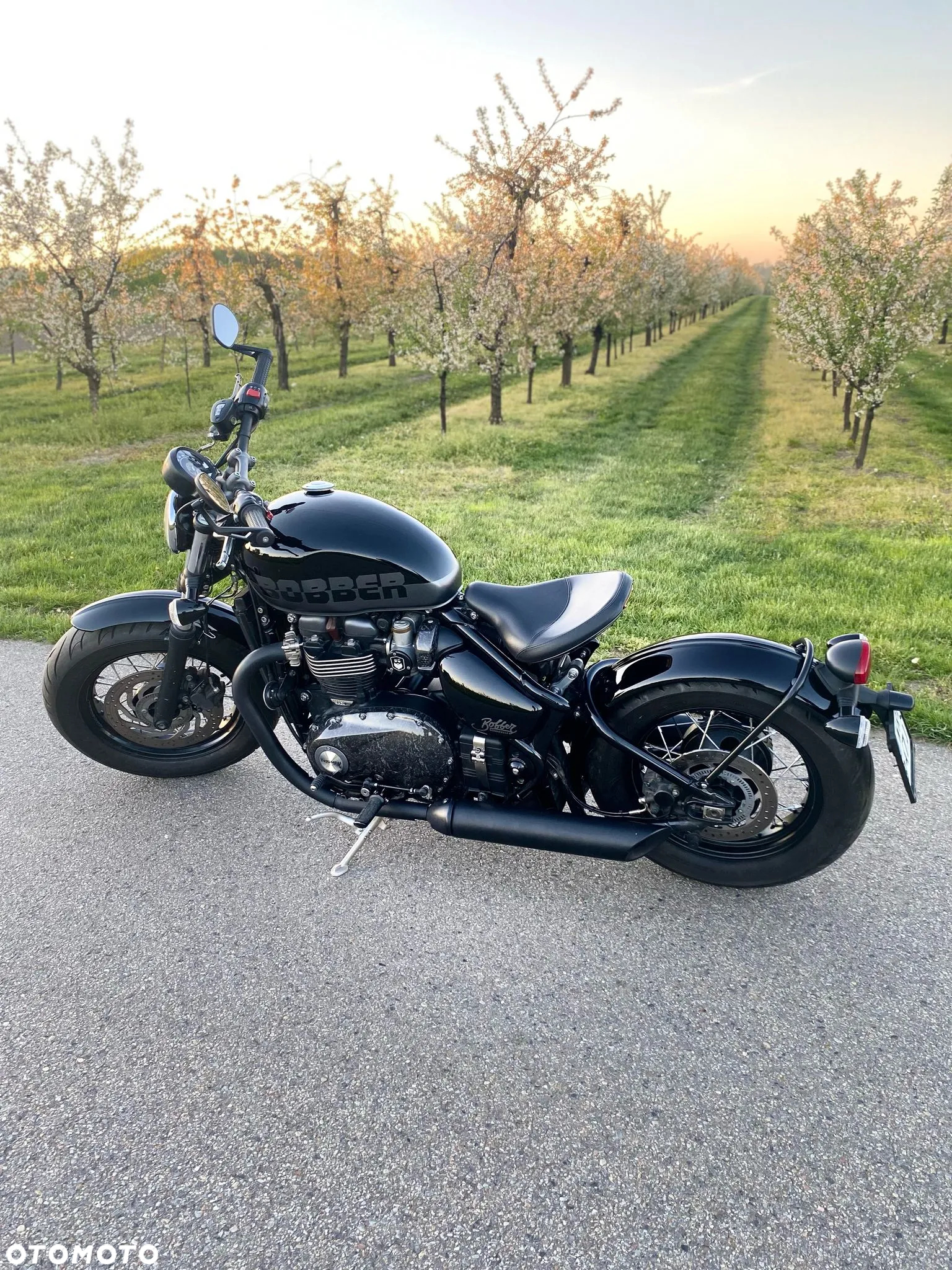 Triumph Bonneville Bobber - 20
