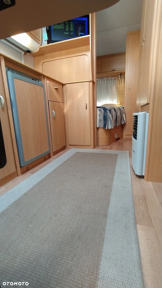 Wilk sport - 35