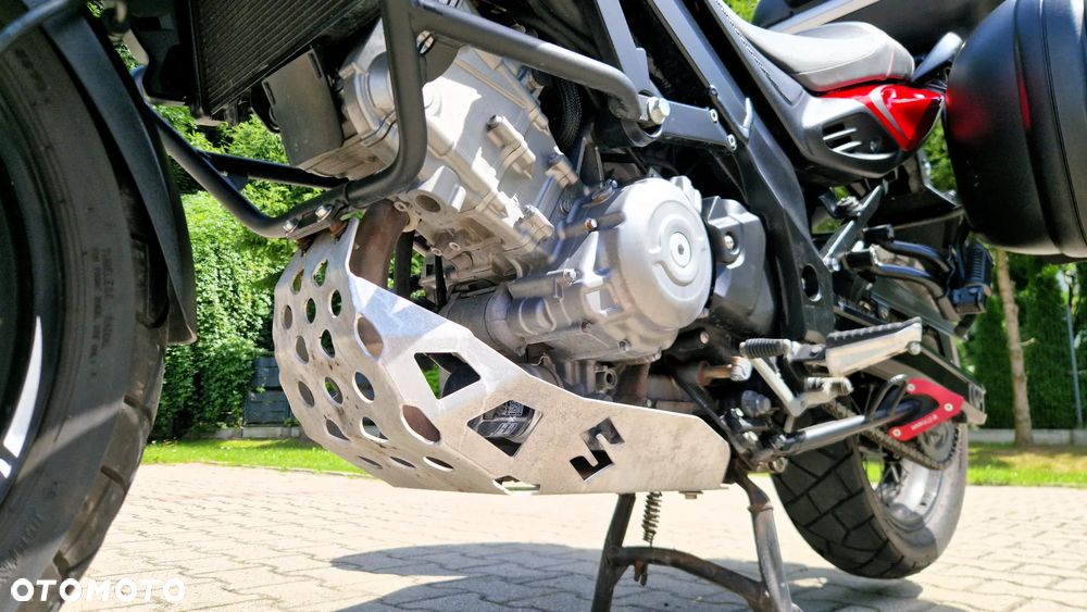 Suzuki V-STROM - 10