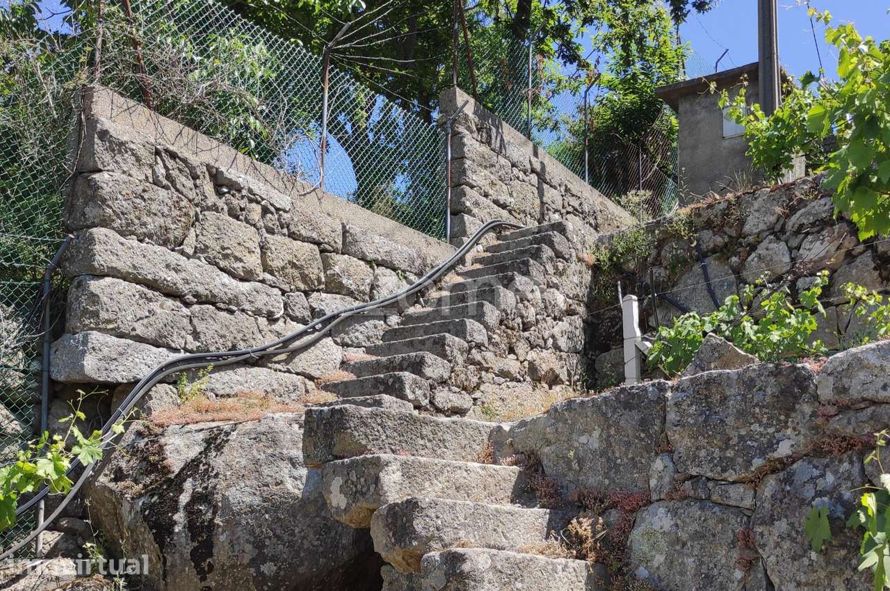 Quinta de Cortinhas | Vinha, Água e Potencial Turístico - Grande imagem: 5/14