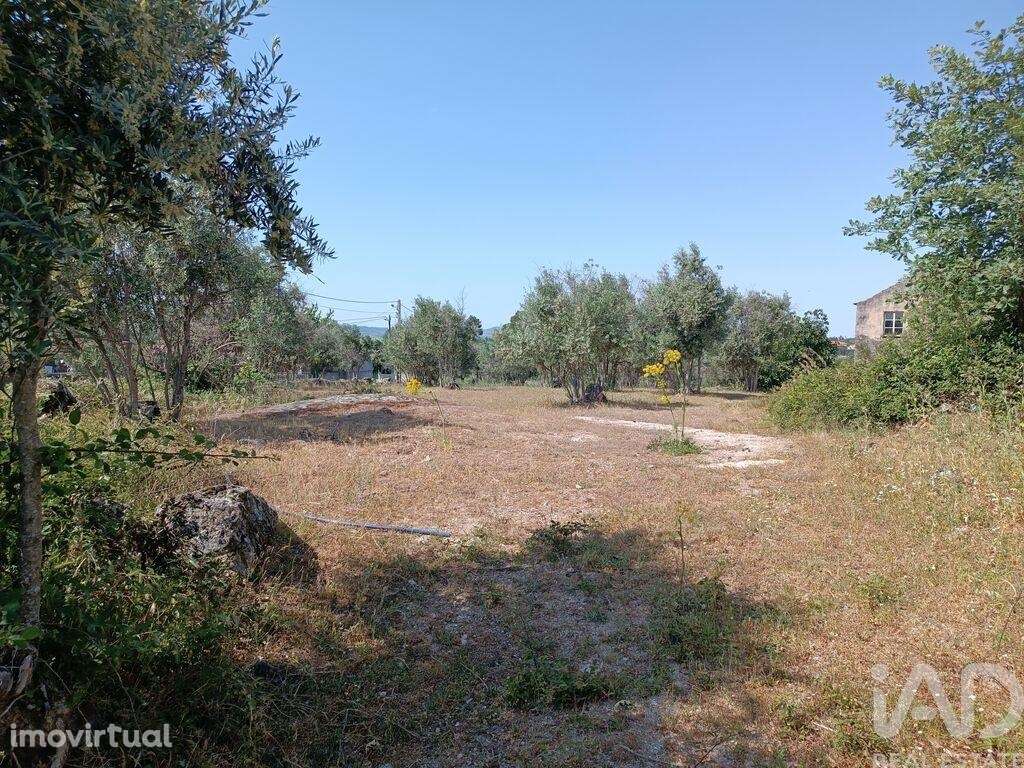 Terreno em Moimenta da Serra e Vinhó de 11200,00 m2 - Grande imagem: 5/20