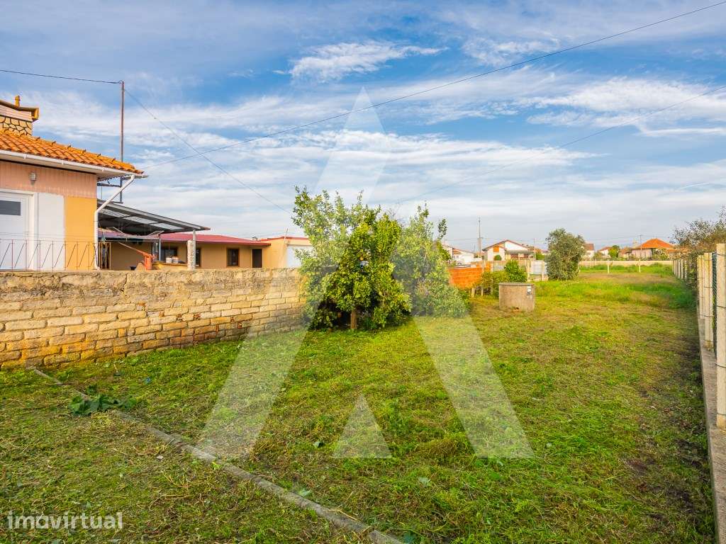 Terreno - Perto da Ria de Aveiro - Grande imagem: 3/6