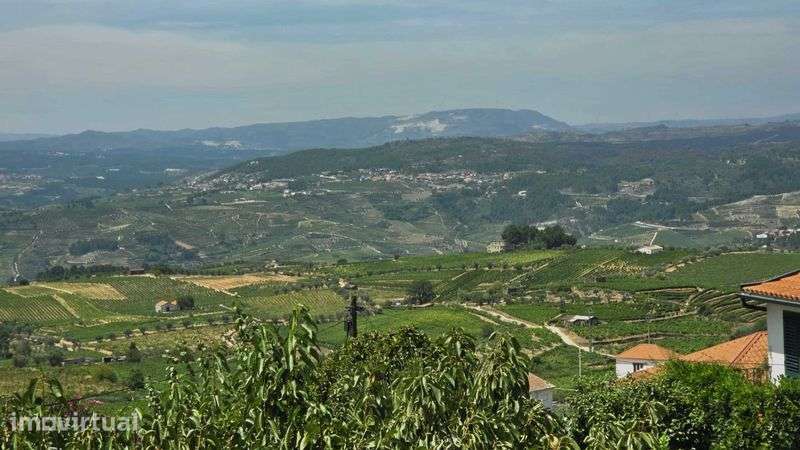 Vendo moradia com bom terreno - Grande imagem: 4/12