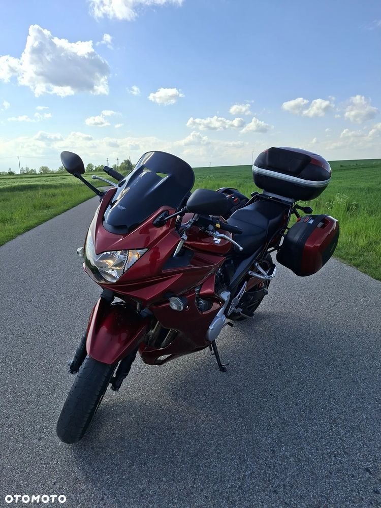 Suzuki Bandit - 6