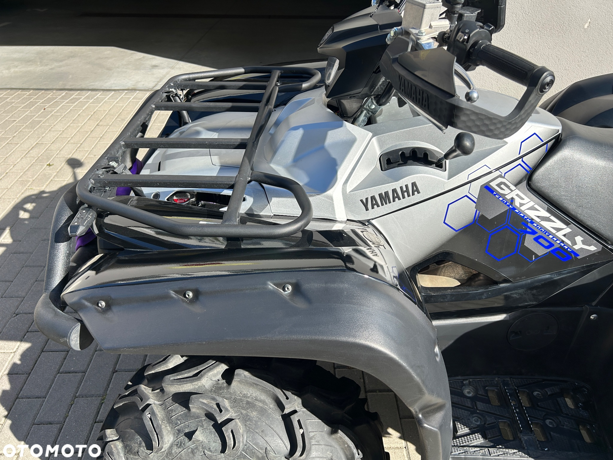 Yamaha Grizzly - 10