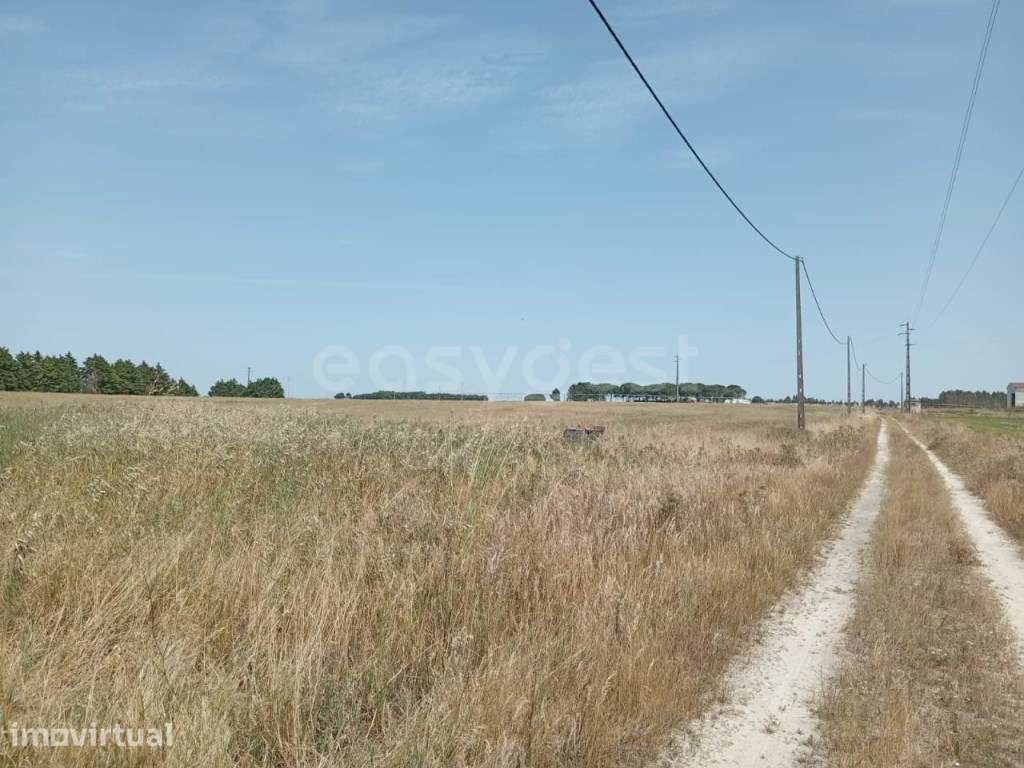 Terreno Rústico com Armazém Agrícola - Grande imagem: 4/20