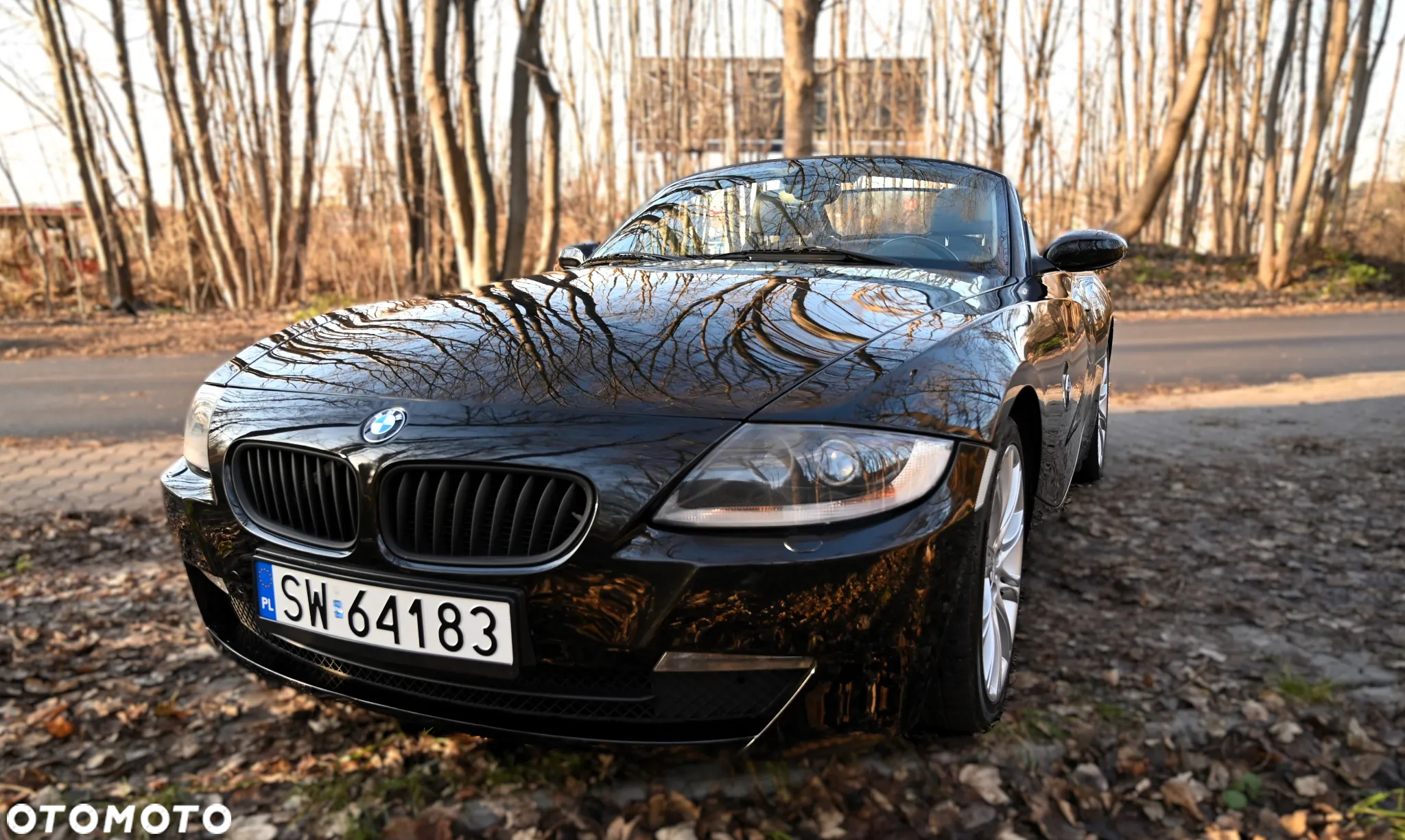 BMW Z4 - 25
