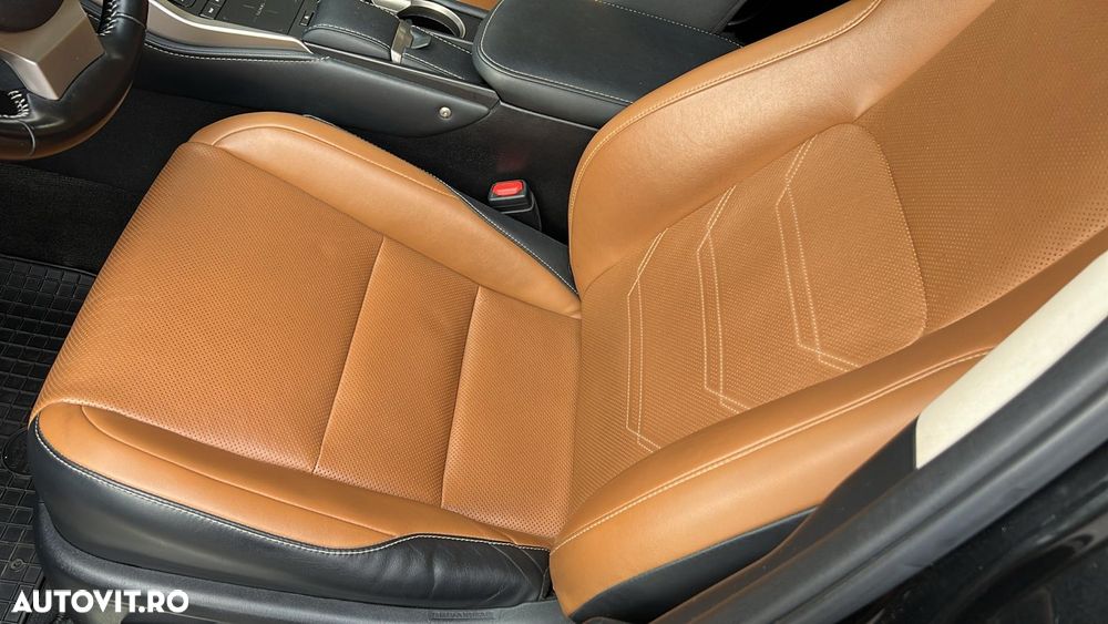 Lexus Seria NX 300h FWD Executive Plus Panorama - 5