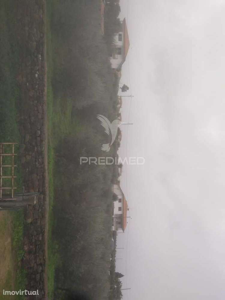 Terreno/Olival com Viabilidade de Construção - Grande imagem: 3/20