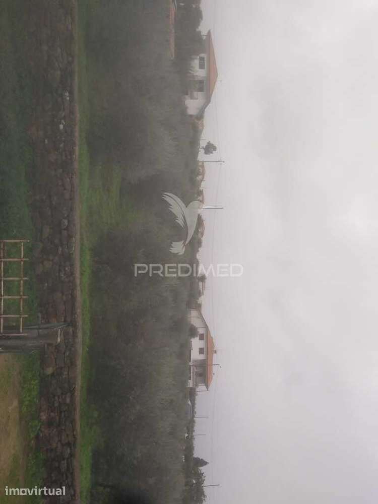 Terreno/Olival com Viabilidade de Construção - Grande imagem: 3/20