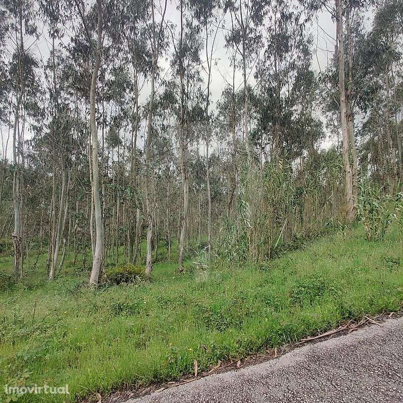 Terreno  para venda - Grande imagem: 5/10