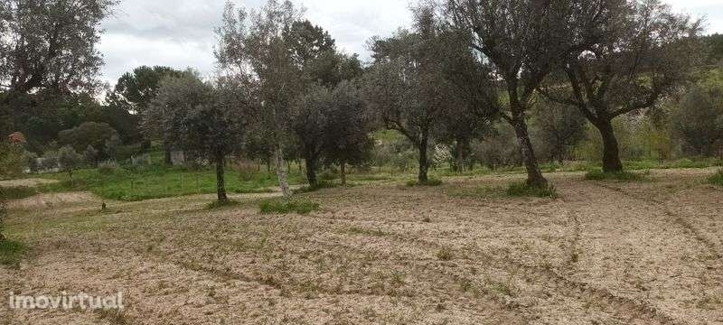 Terreno para venda - Grande imagem: 4/7