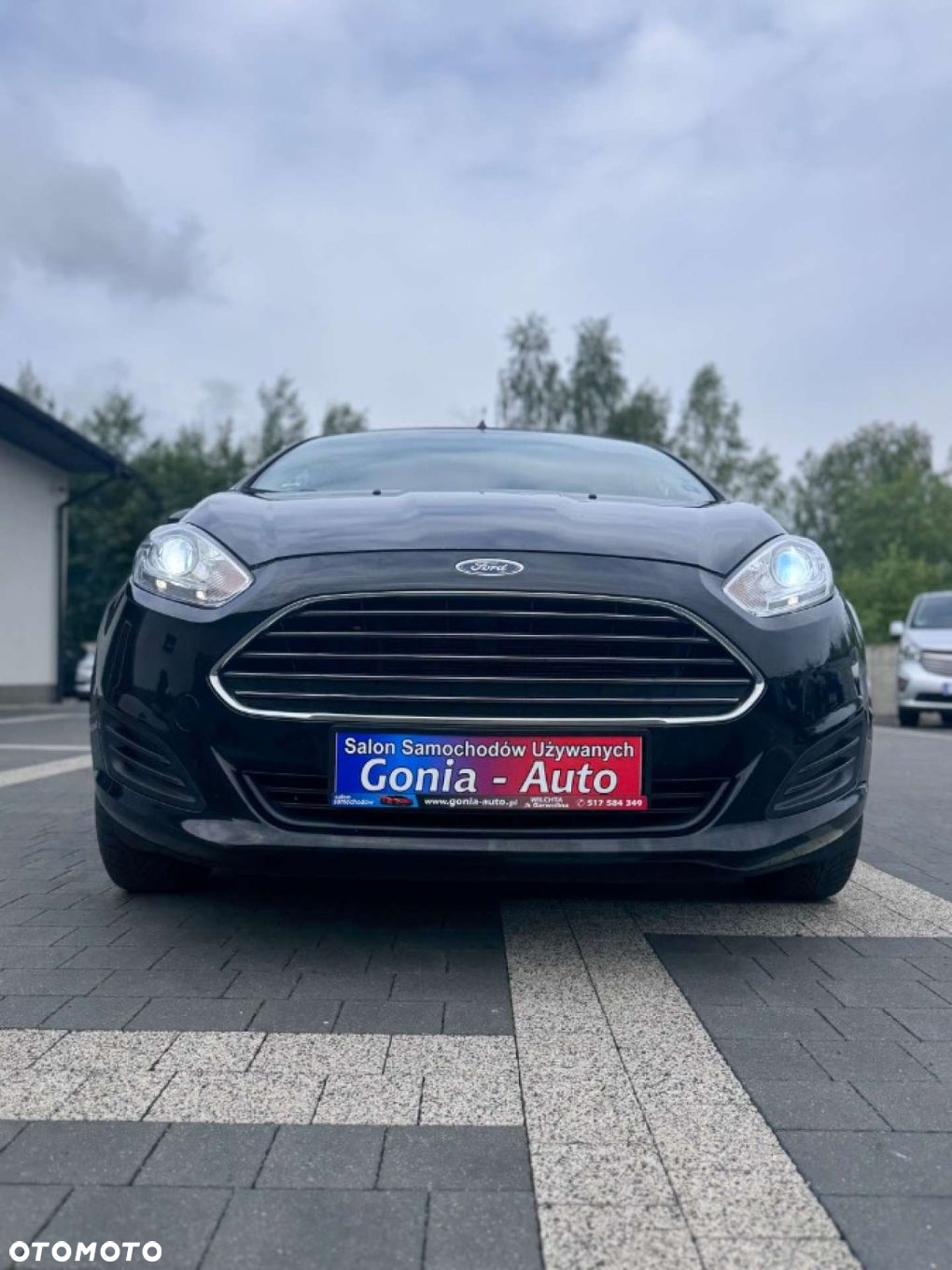 Ford Fiesta - 10