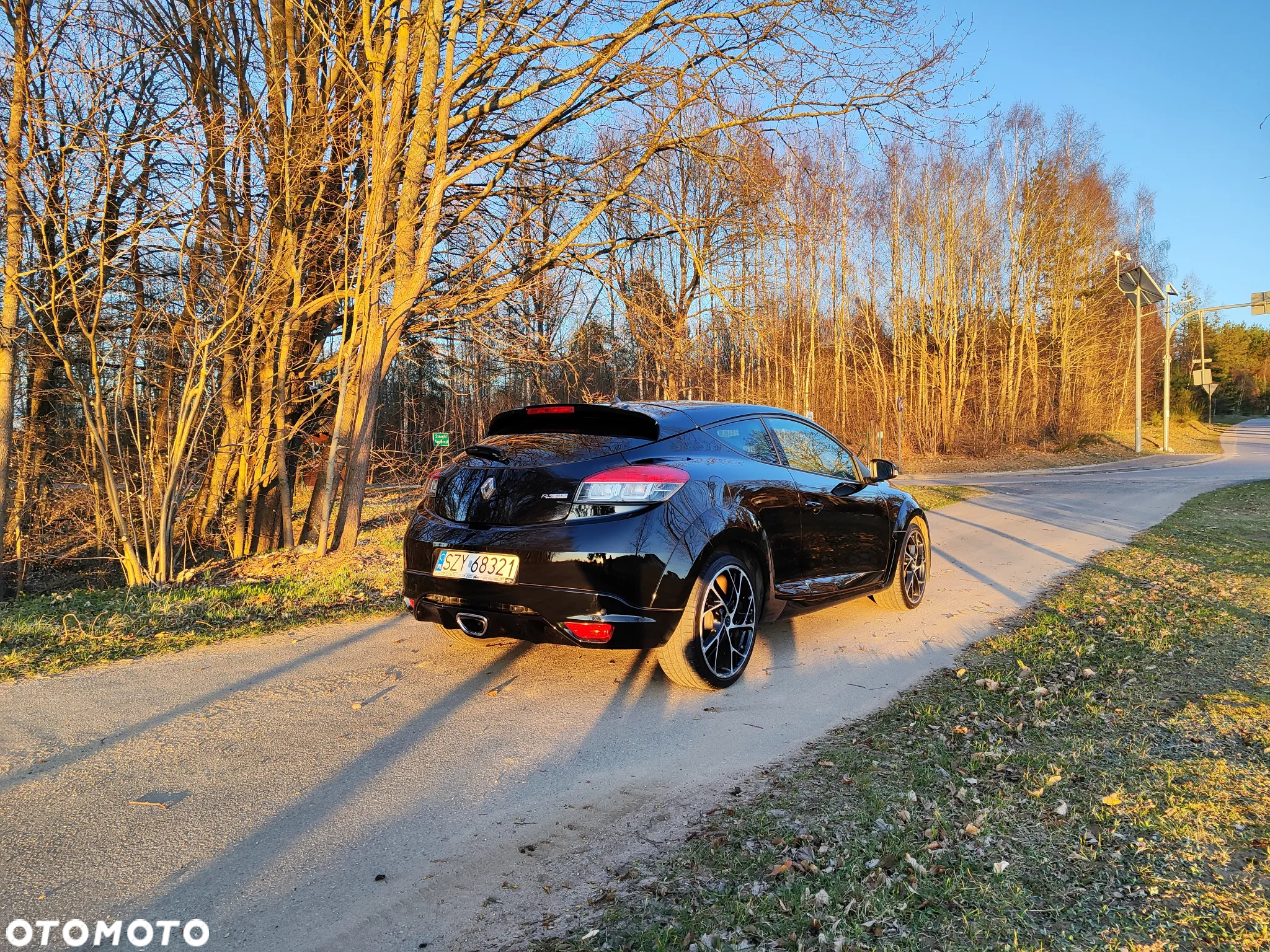 Renault Megane R.S EU6 - 7