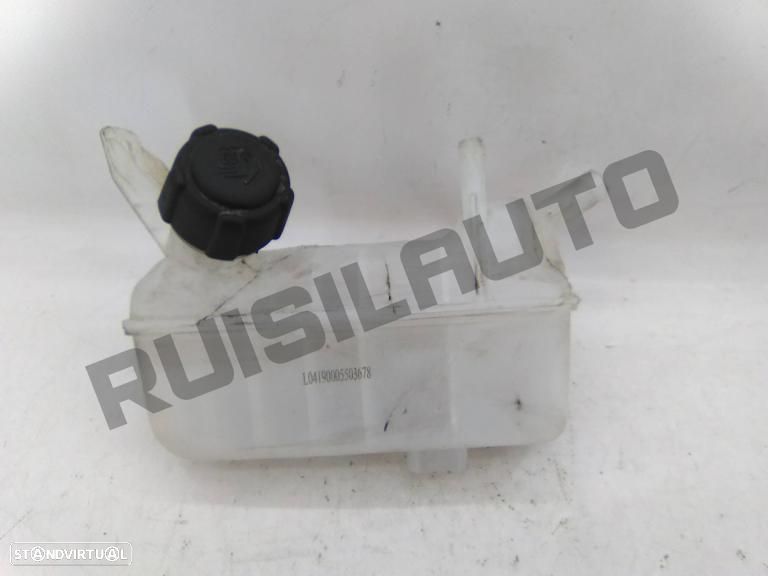Depósito / Vaso Agua Radiador  Renault Megane Ii Grandtour [200 - 1