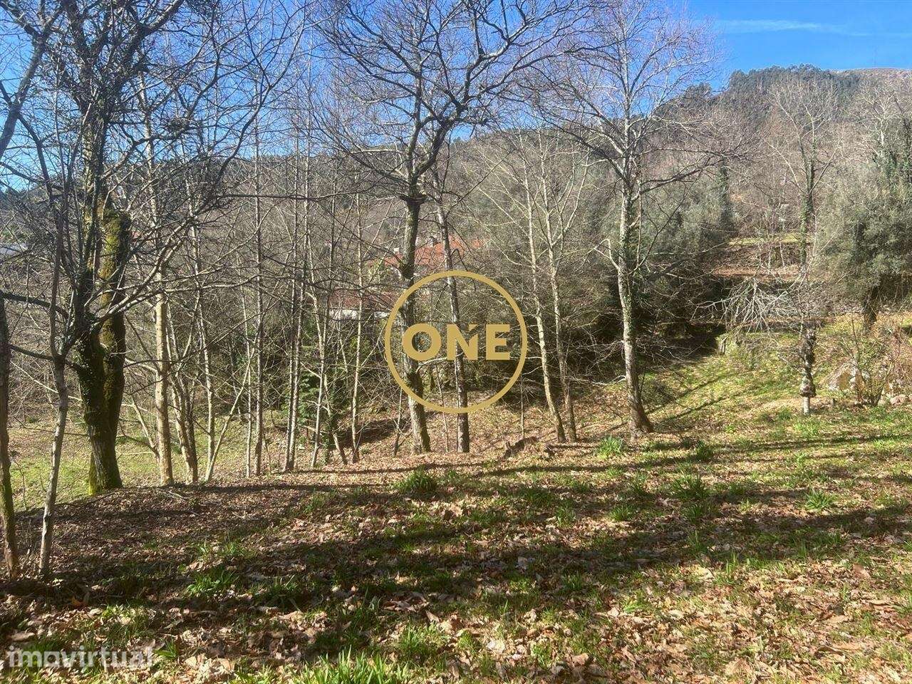 Quinta em Eira Vedra, a 2 minutos de Vieira do Minho, inserida num ter - Grande imagem: 4/40