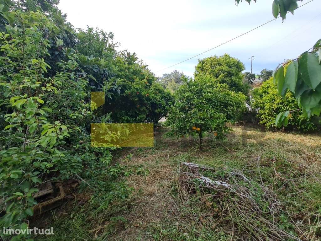 Moradia Isolada T3+2 em Lote com 1.324 m2 - Brejos da Roussada, Mil... - Grande imagem: 5/39