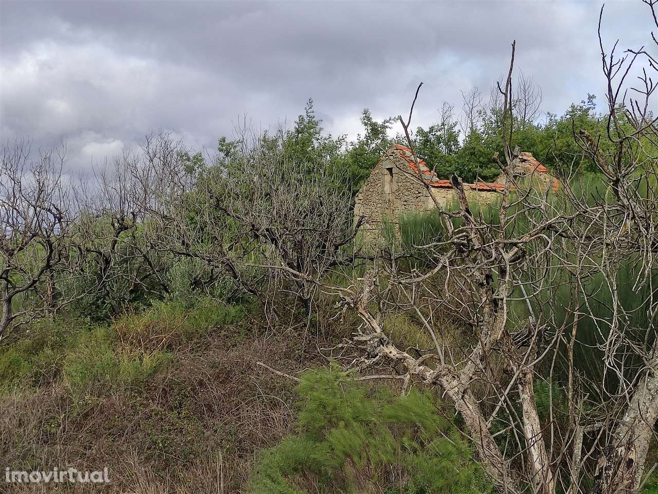Quinta  Venda em Figueiró da Serra e Freixo da Serra,Gouveia - Grande imagem: 3/24
