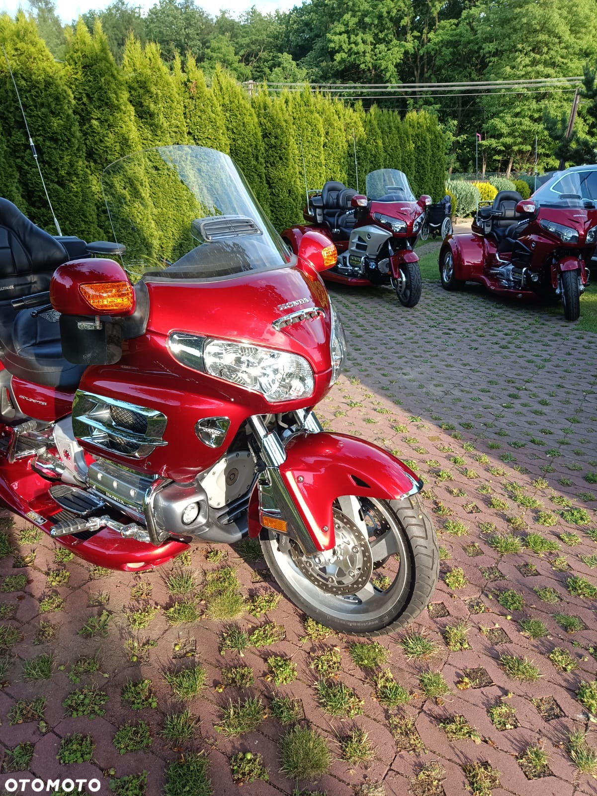Honda GL - 5