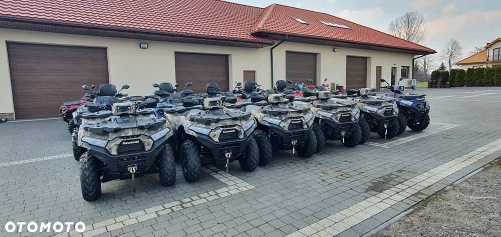 Kawasaki Brute Force