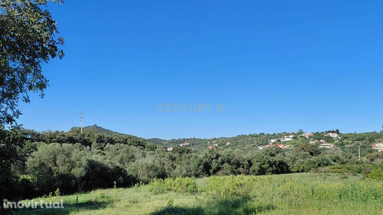 Terreno Misto com Ruína em São Bartolomeu de Messines - Grande imagem: 3/21