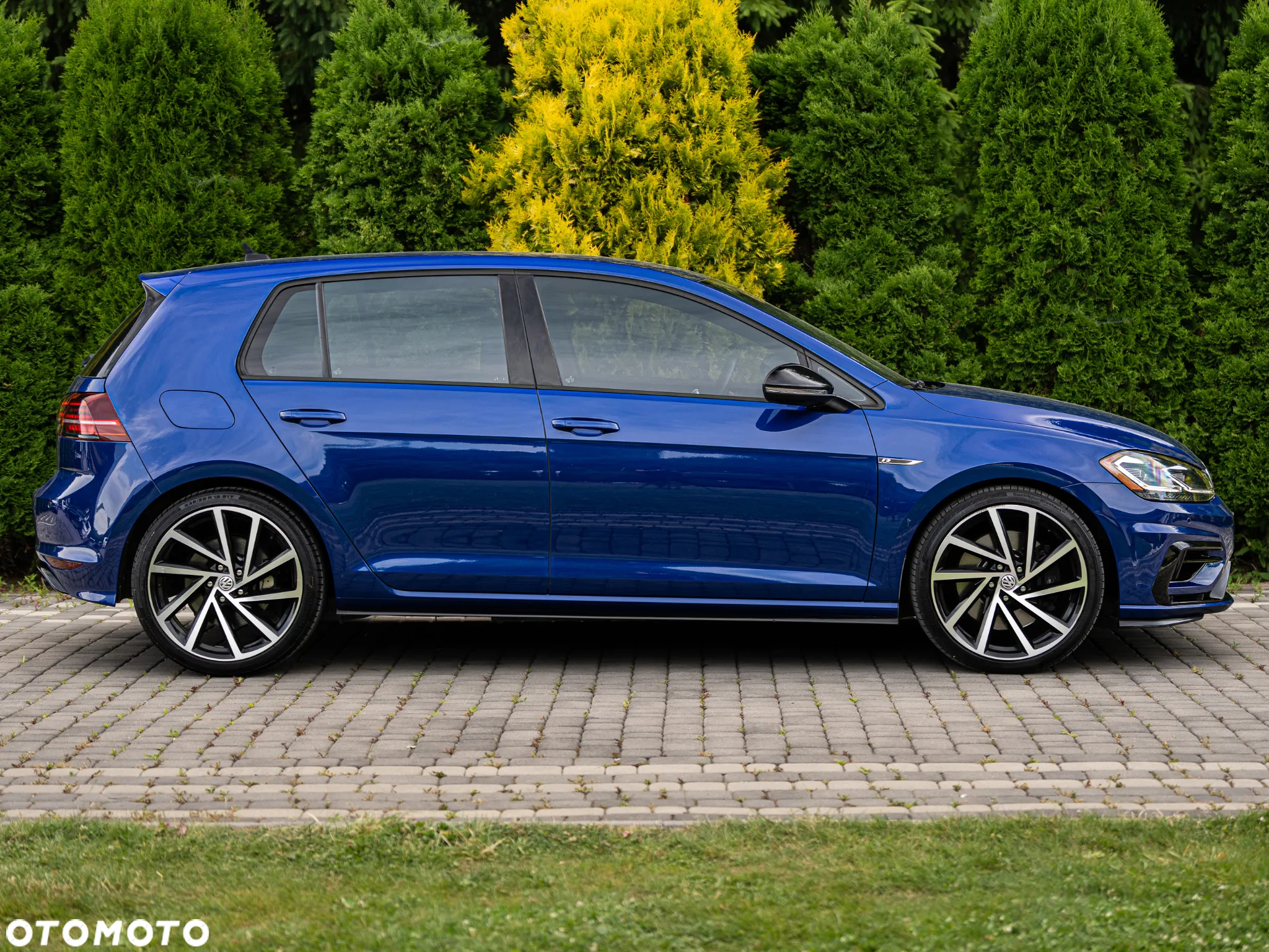 Volkswagen Golf - 8