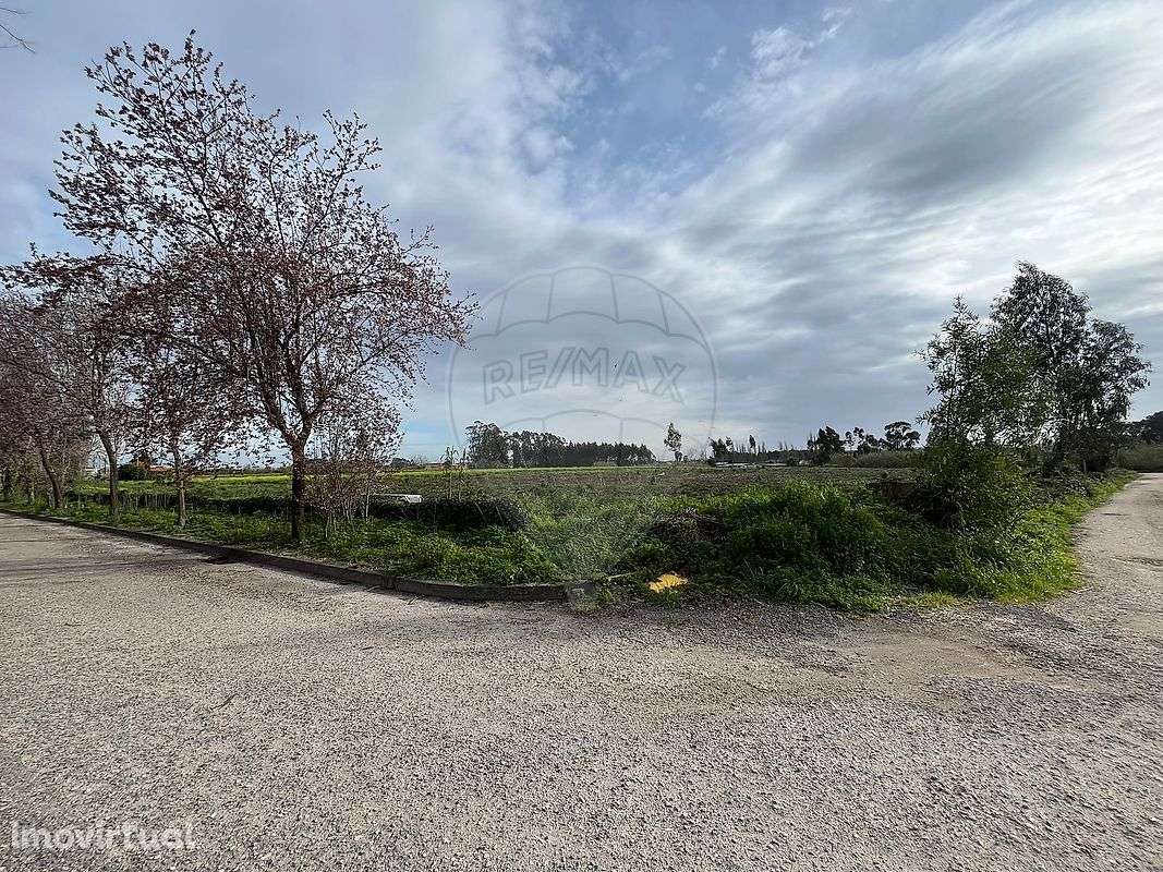 Terreno  para venda - Grande imagem: 3/8