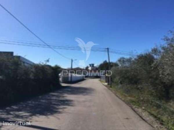 Terreno rústico com 11.450 m² em Cantanhede – Potencial para 9 mora... - Grande imagem: 3/3