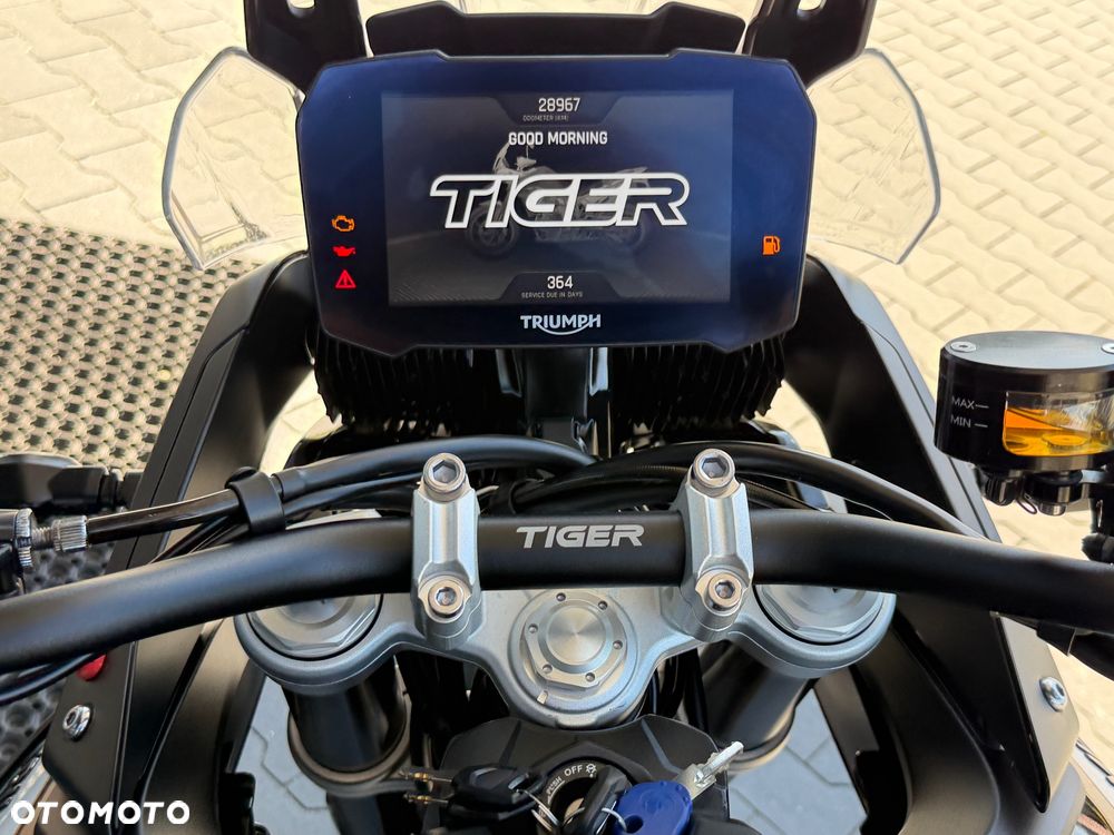 Triumph Tiger - 26