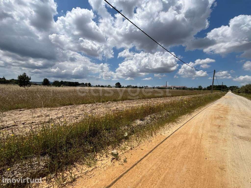 Terreno misto com viabilidade de construção com 10hA - Grande imagem: 5/13