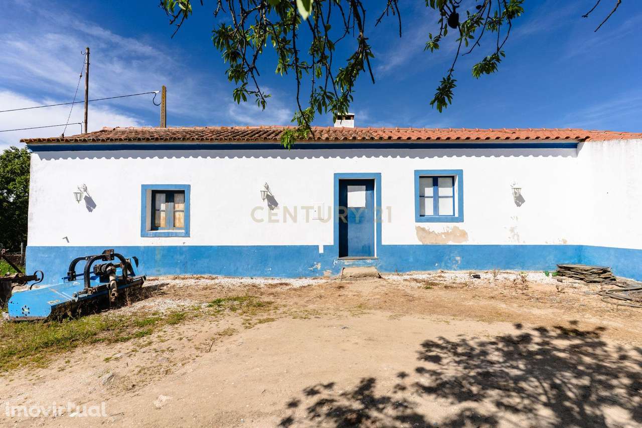 Monte Alentejano "Corval" Reguengos de Monsaraz com  54 250m2 de vinha - Grande imagem: 2/29
