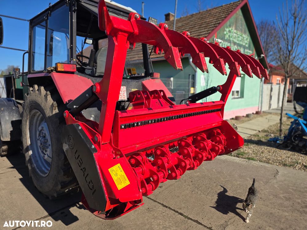 Ubaldi Alpine Forest 2M - 6