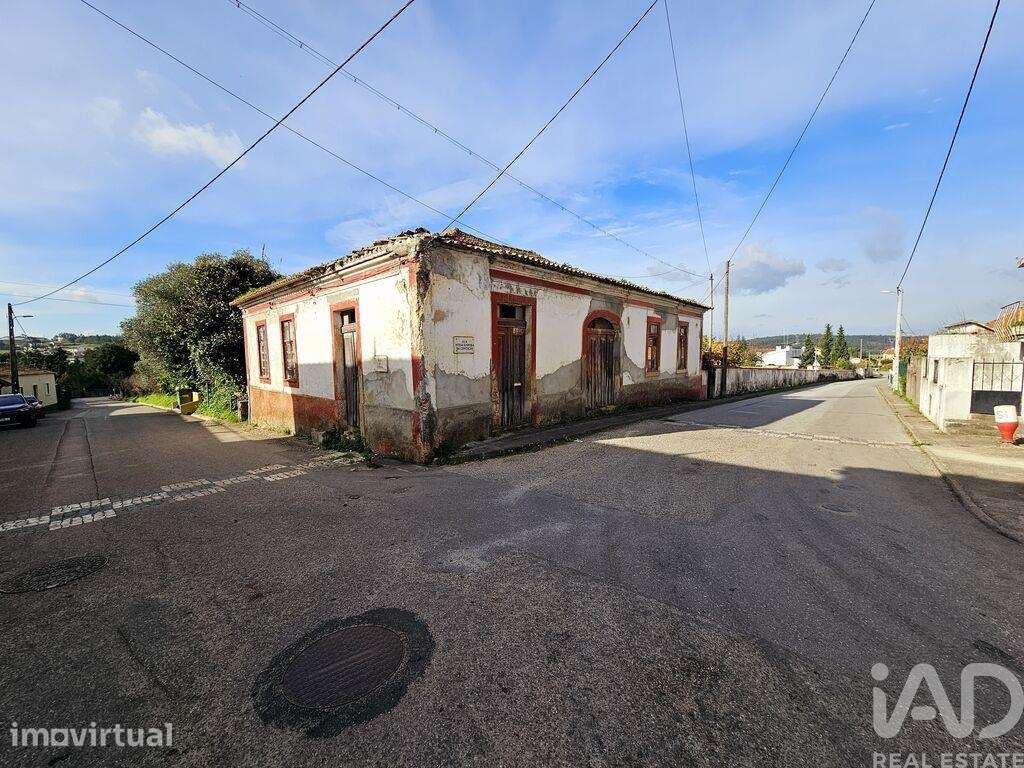 Ateliê T6 em Santa Clara e Castelo Viegas - Grande imagem: 5/12