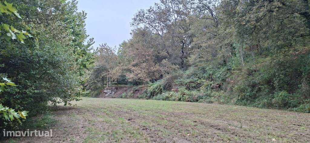 Terreno - Torre - Grande imagem: 4/18