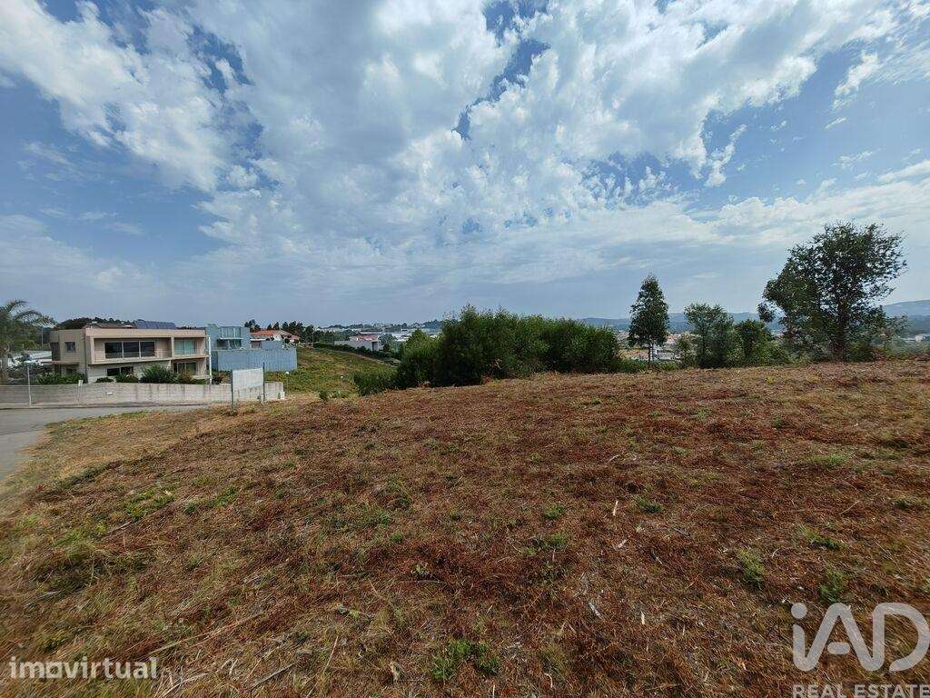 Terreno para construção em Vila de Cucujães - Grande imagem: 4/9