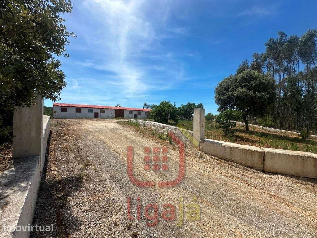 Armazém Industrial/Agropecuário com 9.700 m² de Terreno | Entre Our... - Grande imagem: 2/27