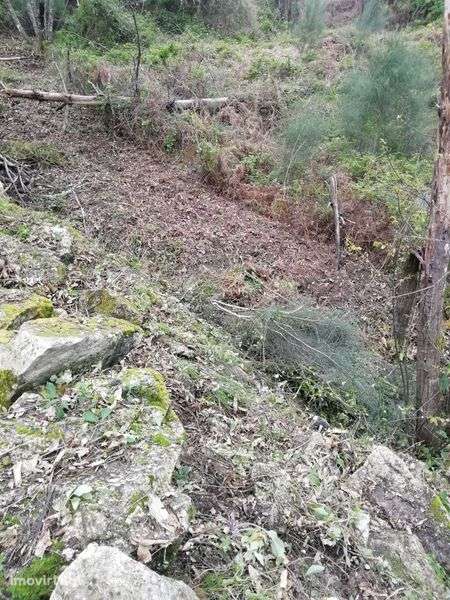 Terreno Agrícola  27322m2 - Grande imagem: 3/11