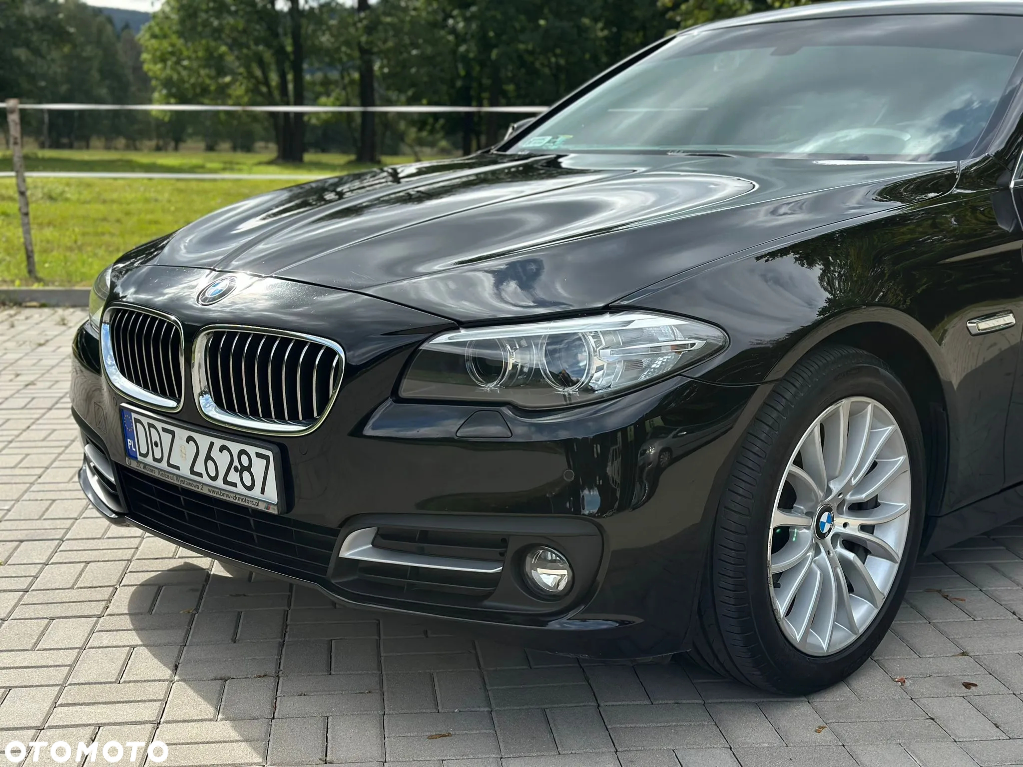 BMW Seria 5 520i Luxury Line - 5