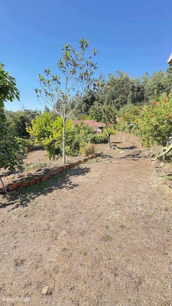 Stone house to renovate with 1100m² land in peaceful village, North PT - Grande imagem: 5/6