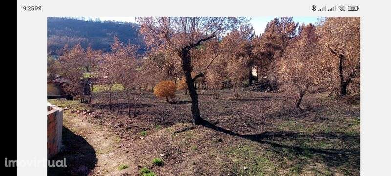 Casa com terreno - Grande imagem: 2/7