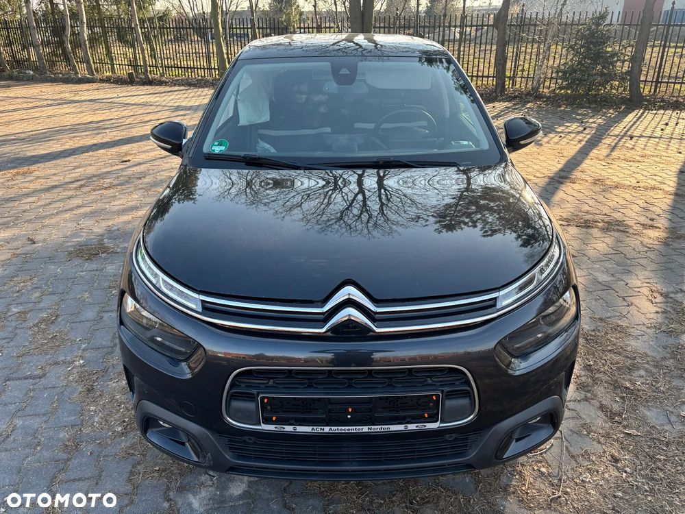 Citroën C4 Cactus PureTech 110 Stop&Start Origins - 14